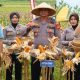 Dukung Ketahanan Pangan, Satreskrim Polres Tasikmalaya Pantau Pertumbuhan Jagung di Desa Janggala