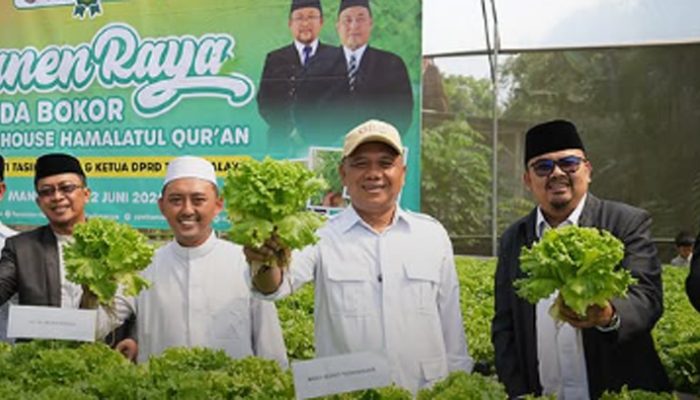 Wabup Tasikmalaya Letakkan Batu Pertama RKB Hamalatul Quran, Panen Selada Jadi Sorotan