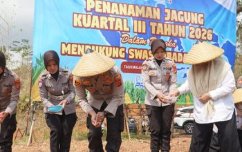 Kemarau Tak Jadi Alasan, Polres Tasikmalaya Tanam Jagung 5 Hektare