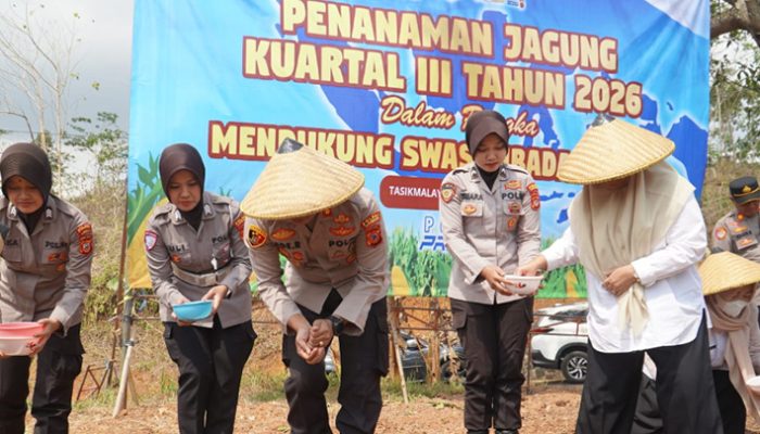 Kemarau Tak Jadi Alasan, Polres Tasikmalaya Tanam Jagung 5 Hektare