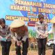 Kemarau Tak Jadi Alasan, Polres Tasikmalaya Tanam Jagung 5 Hektare